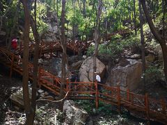 -大岭沟猕猴桃谷风景区