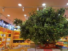 -金顺昌桂林桂花伴手礼(正阳一店)