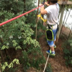 -成都飞越丛林(锦绣城园区)