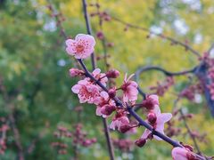 -静安雕塑公园