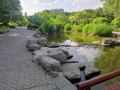 -大望京公园