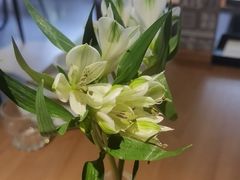 -一坐一忘云南菜(三里屯店)
