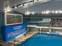 -重庆市奥林匹克体育中心-游泳跳水馆
