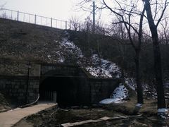 -白水寺森林公园