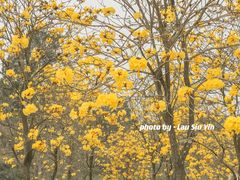 -田园寨农园观光园