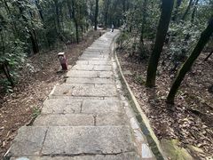 -岳麓山风景名胜区