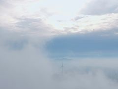 -东白山