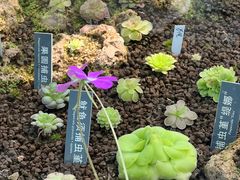 -国家植物园南园