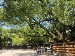 -热田神宫