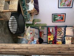 -喵屿·大理花园猫咖