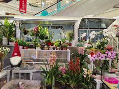 -凯德广场(学府店)