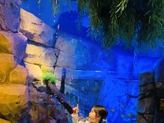 -沈阳海洋探索中心