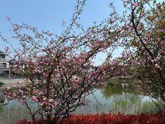 -水月周庄铂尔曼酒店-水月荟中餐厅