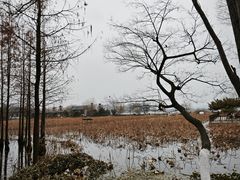 -云龙湖旅游景区