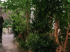 -滕头生态酒店(奉化店)