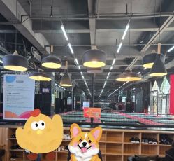 -零重力蹦床空间·滑梯·海洋球·团建(奥特莱斯店)