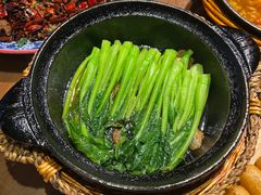 生煎菜心-杨记隆府(重庆总店)