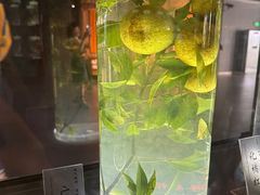 -广东中医药博物馆