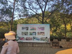 -木兰云雾山