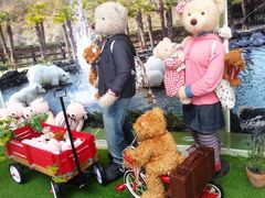 -济州岛泰迪熊博物馆