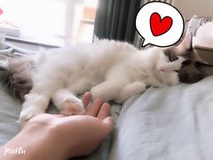 -马路边边串串香(双井直营店)