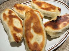 鲅鱼馅锅贴-金谷园饺子馆(北邮总店)