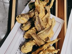 -邵年鸽(杨庄店)