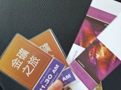 -疏芬山金矿