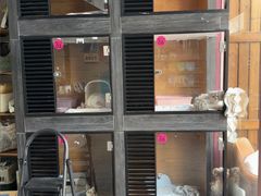 -MOLLY'S萌宠生活馆