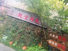 -龙井壹号·茶缘山景宴(龙井村店)