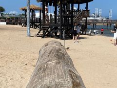 -北戴河碧螺塔海上酒吧公园