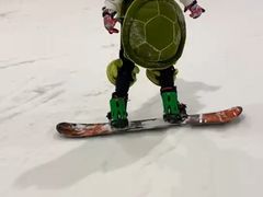 -绍兴启迪乔波冰雪世界