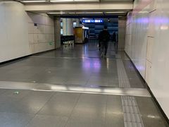 -大望路(地铁站)