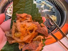 -杨记齐齐哈尔烤肉(总店)