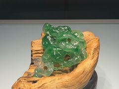 -安徽省地质博物馆