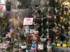 -循礼门鲜花花市(武汉循礼门店)