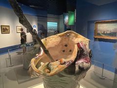 -上海博物馆(人民广场馆)