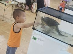 -万达广场(武汉菱角湖店)
