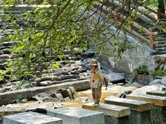 -少华山国家森林公园