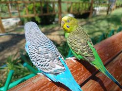 -Oasis Beauty水磨坊科技美肤中心