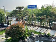 -蘇河湾·新鲁菜·泰山宴(泰山店)