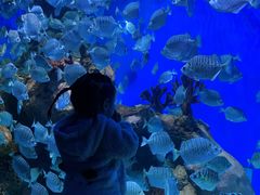 -多彩贵州城极地海洋世界