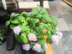 -山色西餐·柴火烤披萨