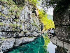 -石台牯牛降景区