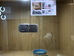 -屋虎猫馆(宝安大仟里店)