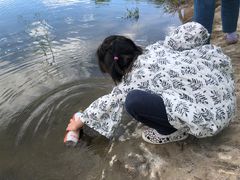 -永定河休闲森林公园