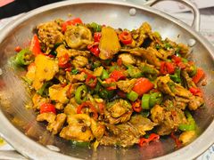 -壹盏灯(惠农店)