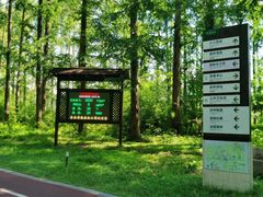 -黄海国家森林公园