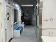 -达爱动物医院·犬猫分区·CT·复杂眼科(远洋山水分院)