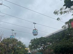 -香港海洋公园